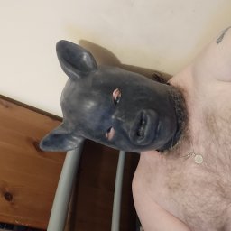 RetardPiggy